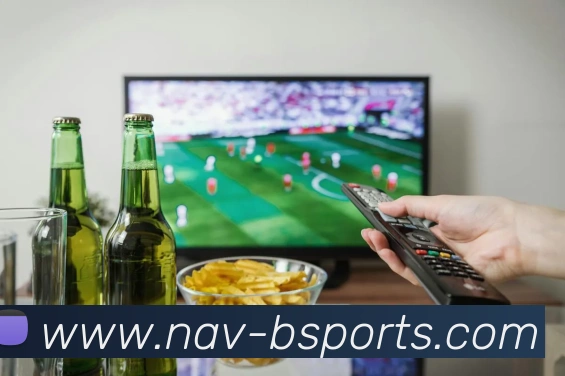 B体育平台生态图